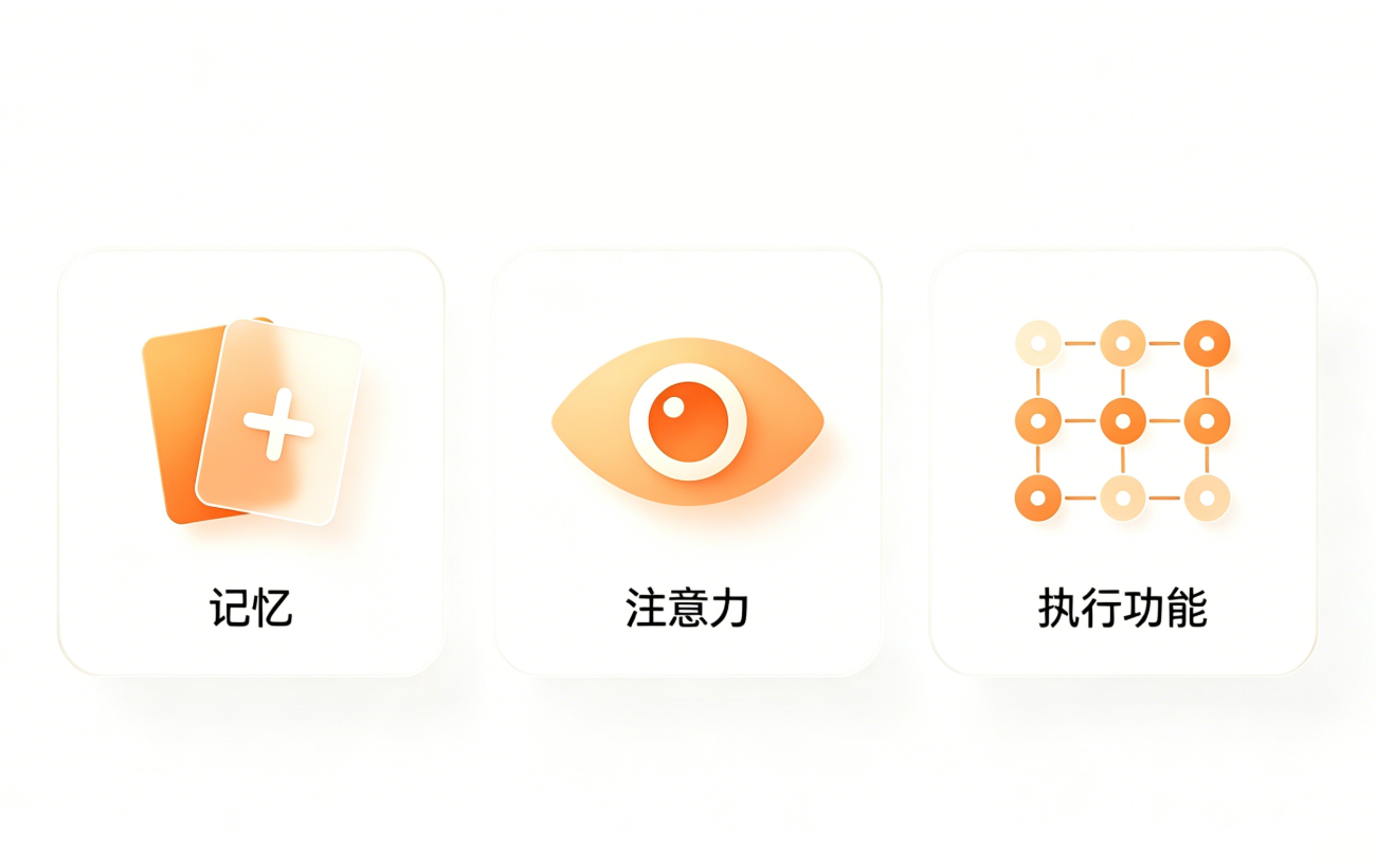 多维认知专项训练展示